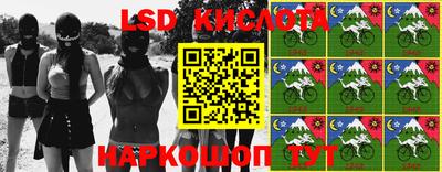 ГАЛЛЮЦИНОГЕННЫЕ ГРИБЫ Берёзовский