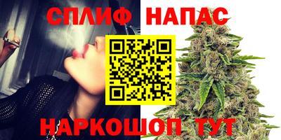 ГАЛЛЮЦИНОГЕННЫЕ ГРИБЫ Берёзовский
