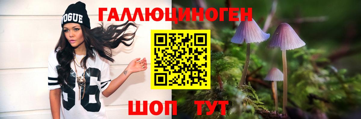 Псилоцибиновые грибы Cubensis  Вход с VPN  купить наркотики сайты  Клин 